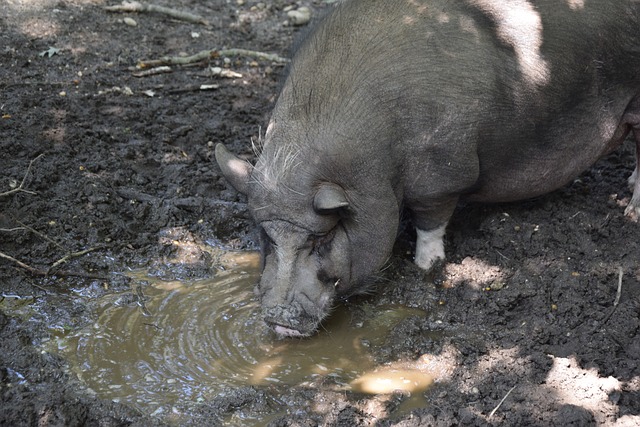 有效地压制 有效地压制