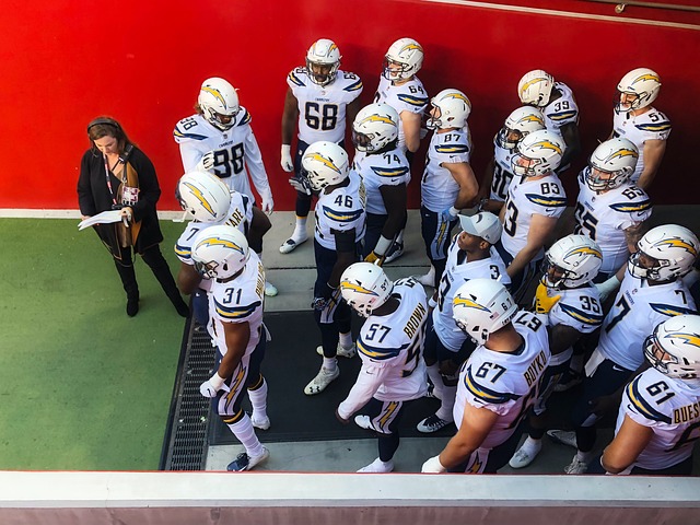 收入囊中 收入囊中