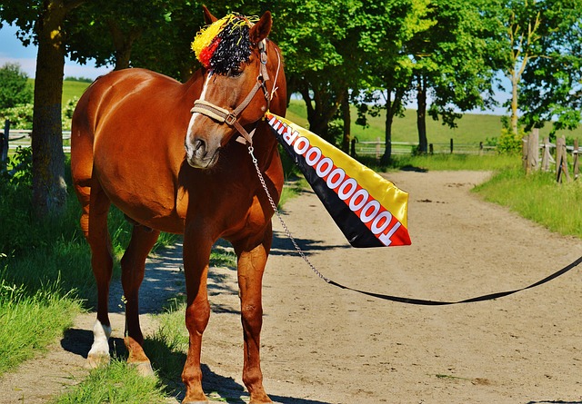 对于西汉姆 对于西汉姆