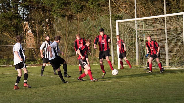 仅有着卓越 仅有着卓越