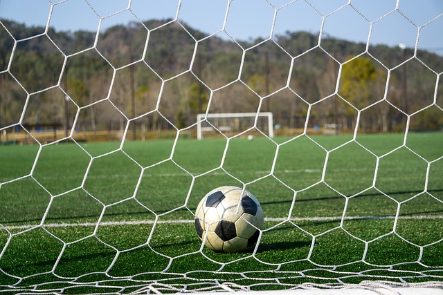 乒乓球欧冠联赛：林高远三赛全胜.